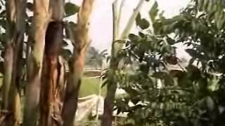 Download Lagu TIGA SATU ALL STAR TERBARU MP3