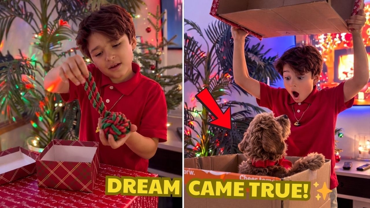 Он думал, что щенок его мечты существует только во сне... а потом случилось ВОТ ЭТО ❤️ | Щенок-сю...