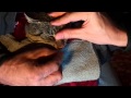 Grass stem removal from cats nose.