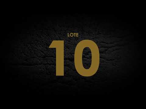 LOTE 10