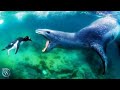 LEOPARD SEAL ─ Deadliest Beast of the Antarctic