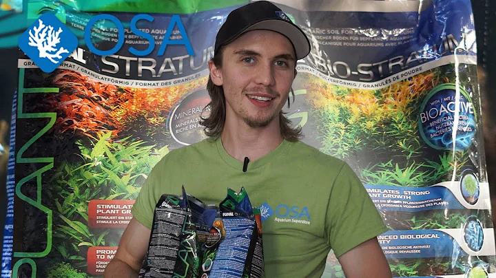 Fluval Stratum vs Bio-Stratum