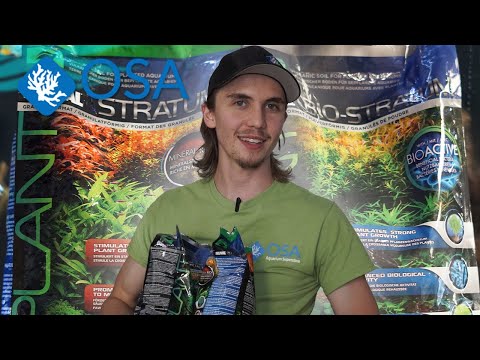 Fluval Stratum vs Bio-Stratum