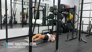 Ring Hamstring Curl