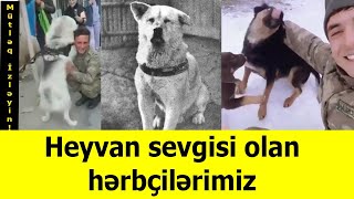 Əsgərlərimizin Heyvan Sevgisi Duyğusal Anlar Yaşadır