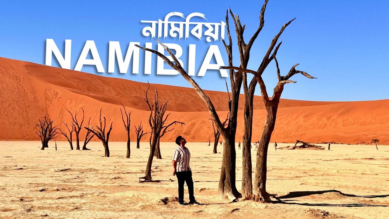 নামিবিয়া: আফ্রিকার লুকানো রত্ন | Deadvlei, Desert & Ocean