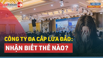 Cách Nhận Biết Công Ty Đa Cấp Lừa Đảo | LuatVietnam