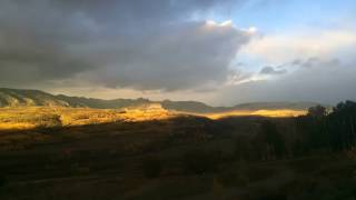 IMG 1242