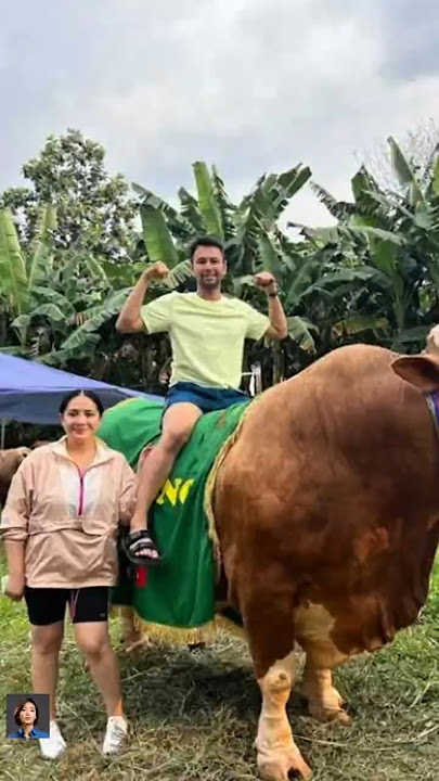 Buying 4 Jumbo Cows from Irfan Hakim, Raffi Ahmad Gets a Bonus of Balinese Cows for Baby Lily!
