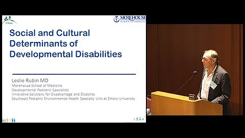 Social and Cultural Determinants of Developmental ...