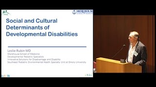 Social and Cultural Determinants of Developmental Disabilities
