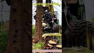 Tree Harvesting — the best chainsaw logging met innovative harvester technology