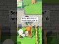 Some pictures of nookcastle part 6 #acnh #acnhcommunity #gaming #fun #acnhgameplay #shorts