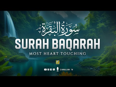 World S Most Relaxing HEART TOUCHING Surah Al Baqarah Full سورة البقره Zikrullah TV