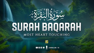 World's Most Relaxing Heart Touching Surah Al-Baqarah Full (سورة البقره) | Zikrullah Tv
