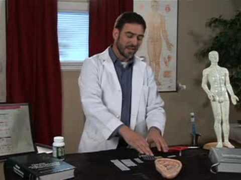 Acupuncture Therapy : Acupuncture Ear Needles