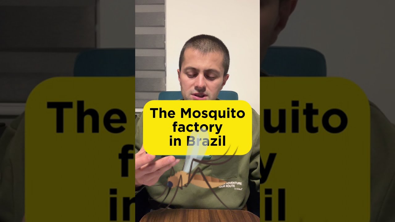Brazil’s Mosquito Factory Explained