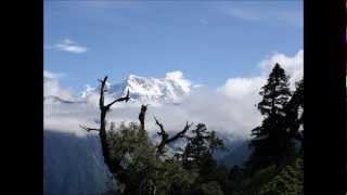 Jasmon-Himalaya