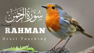 Surah Ar-Rahman سورة الرحمن | Relaxing Soft Voice Marvelous Quran | #quran screenshot 3