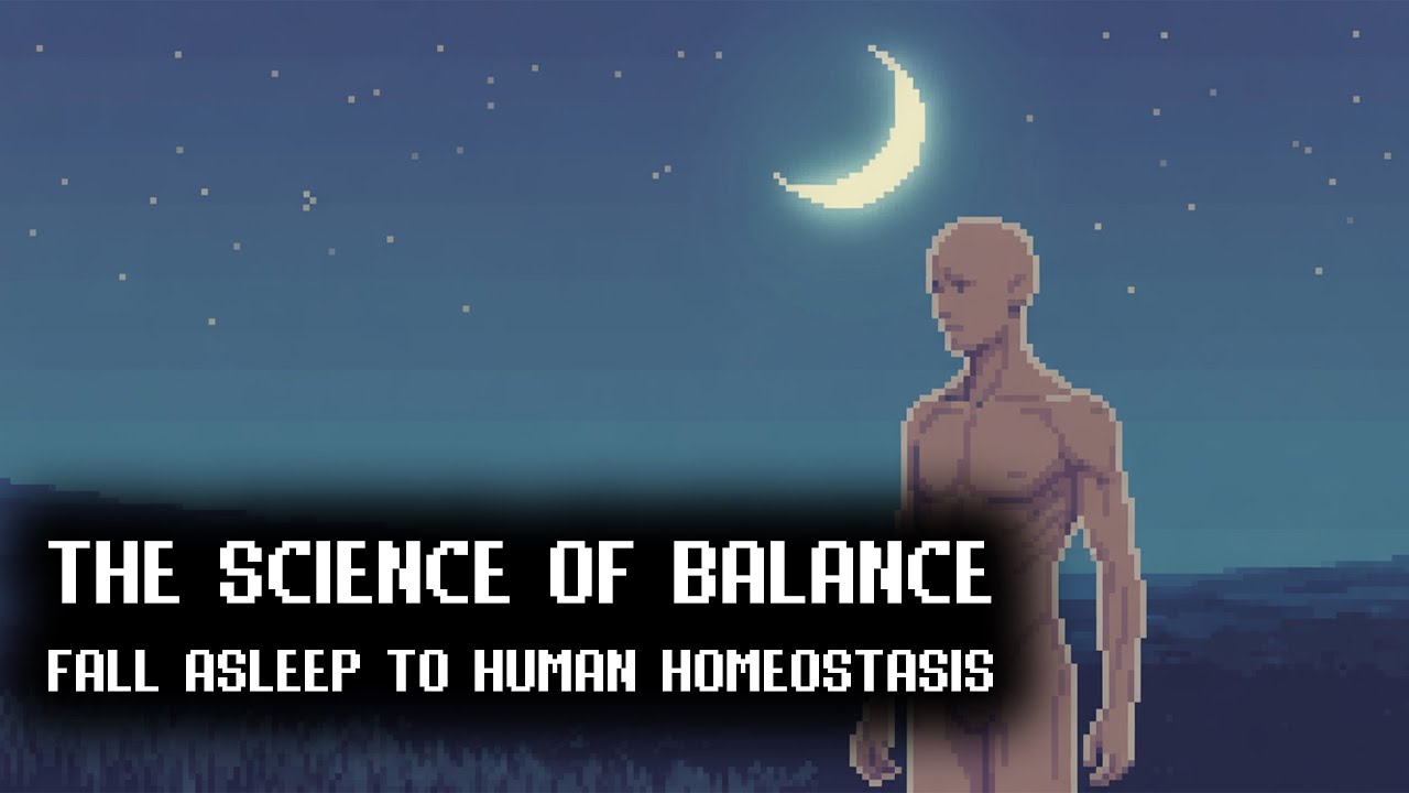 Homeostasis Explained | The Science of Internal Balance