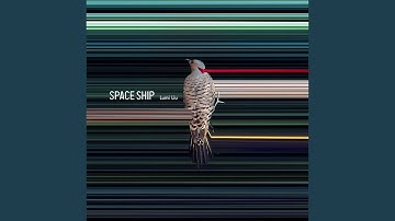 Space Ship