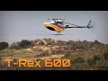 T-REX 600 3D Heli Aerobatic Practice at RACBSA - HD 50fps