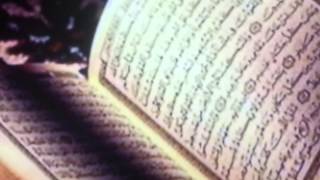 Abdurrahman Onul Ucun Kuslar Medineye