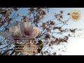 هو الله الذي لا إله إلا هو القارئ عثمان الحداد حالات واتس اب قران كريم