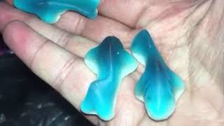 Who is talking in background soft candy blue shark 🦈 shark 🦈 Anthony Michael lashley feild Cox go screenshot 5