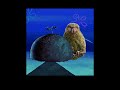 Hope you enjoy this. #edit #bird #australia #newzealand #seal #kakapo #octopus #taipan #spider