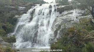 MEJORES FERVENZAS NORTE GALICIA OTOÑO 2020