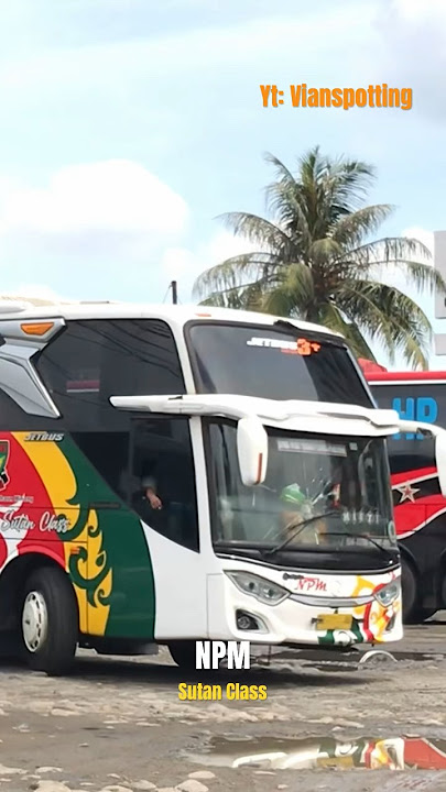 BUS NPM SUTAN CLASS PADANG MEDAN #npm #bus #bis #terbaru #trending #minang #adiputro #jetbus