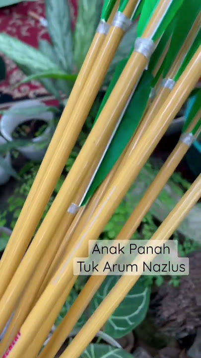 Arum Nazlus: Dibelikan Anak Panah sama Abi Arum 🏹🎯 #panahan #panahanberkuda #shorts