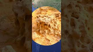 Caral Reef Coral Reef Or Coral Rock By Priya Pandey