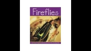 Fireflies