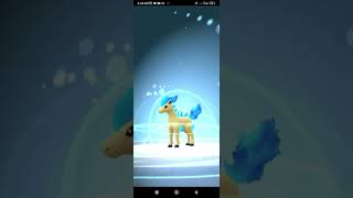 Catching Shiny Ponyta✨✨Evolve into Shiny Rapidash✨✨in#pokemongo#shiny#ponyta#rapidash