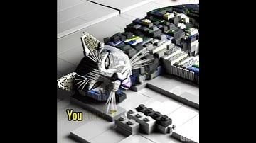 Convolutional Neural Networks on cats #ai #machinelearning #cat #neuralnetworks #engagingcontent