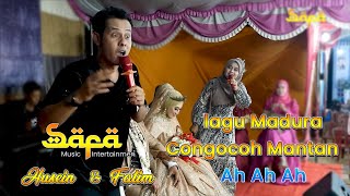 LAGU SAFA TERBARU ' TIMANG MANTEN VERSI LUCU JADI BAPER MANTENNYA🤣🤣🤣
