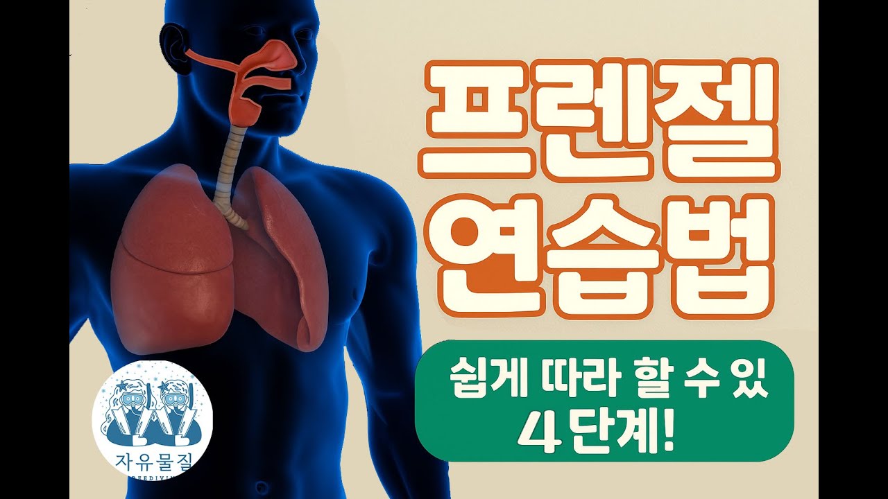 프렌젤 연습 단계 집에서 쉽게 따라해요!