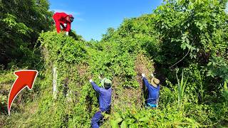 SURPRISING REVIVAL of a ROTTING House ABANDONED for 30 YEARS and OVERTAKEN by Overgrowth