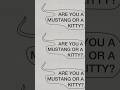 Are you a Mustang or a Kitty? Mustang lyric video out now.