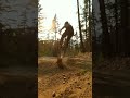 ::: Golden hours in Whistler. What more do you need? 🤤