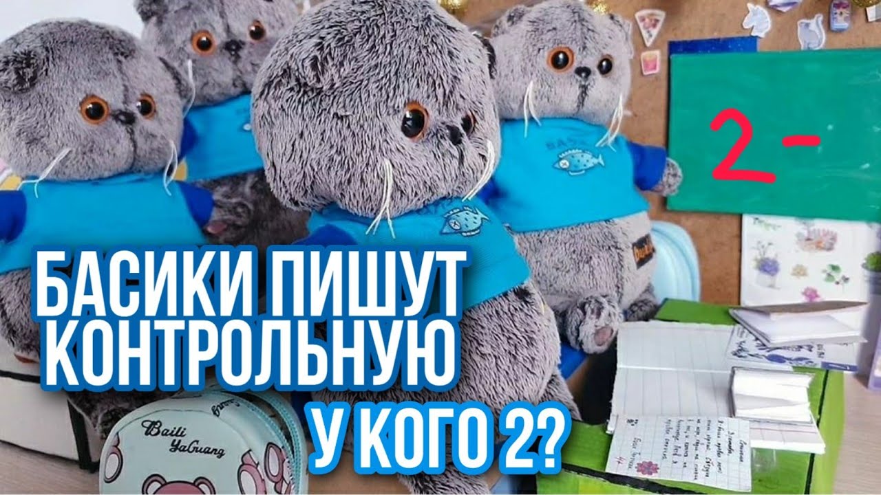 Басики пишут контрольную! БУСИК ПОЛУЧИЛ 2?