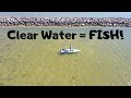 CLEAR water = LOTS of FISH! (Solo Skiff Galveston Bay Fishing)