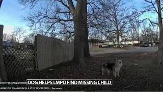 Neighborhood dog helps Louisville police find missing 3-year-old