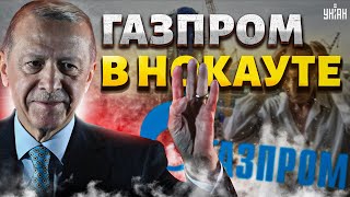 Это не покажут в РФ! Си и Эрдоган влупили Путину оплеуху: Газпром в нокауте