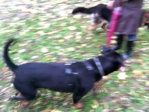 VID 20141115 101647