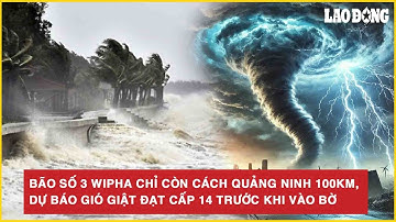 Bão số 3 Wipha chỉ còn cách Quảng Ninh 100km, dự báo gió giật đạt cấp 14 trước khi vào bờ