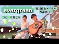 evergreen エバーグリーン