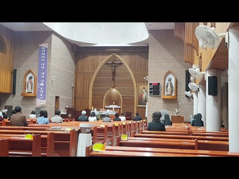 영상썸네일